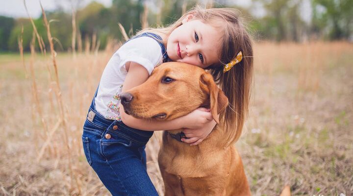Girl In Blue Overalls Cuddling Brown Dog In Field